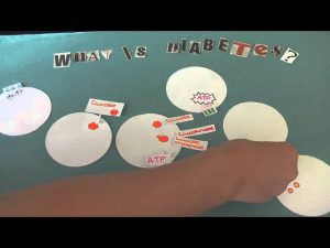 Biology Project: What is Diabetes?