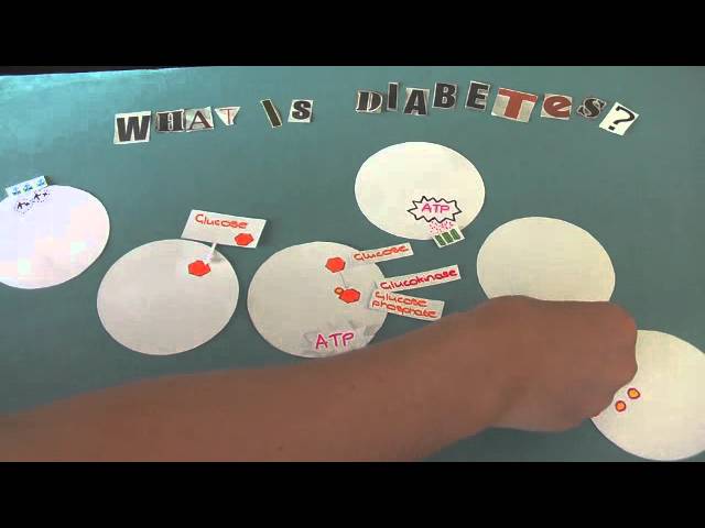 You are currently viewing Biology Project: What is Diabetes?