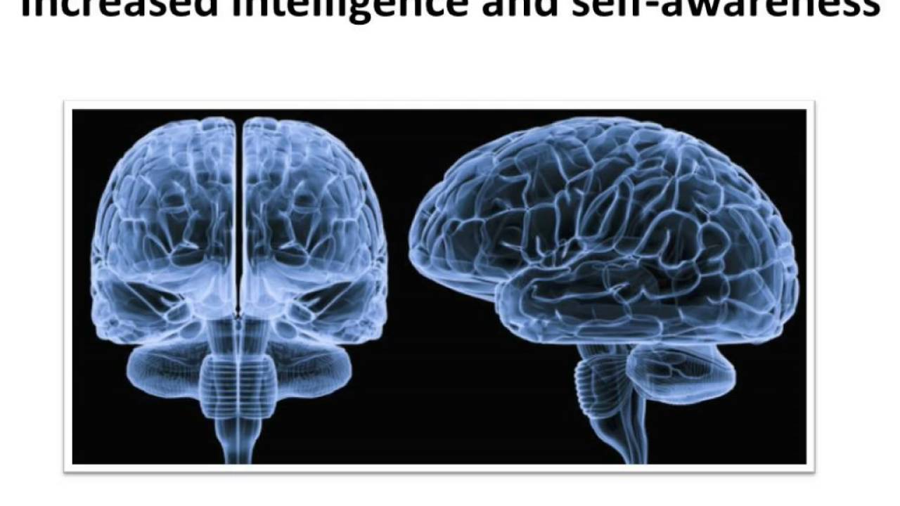 You are currently viewing Biology – Role of hormones during puberty – English