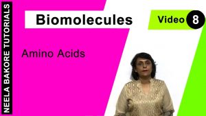 Read more about the article Biomolecules – Amino Acids