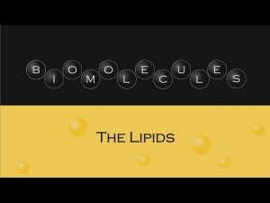 Biomolecules – The Lipids