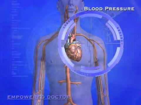 You are currently viewing Blood Pressure Explained