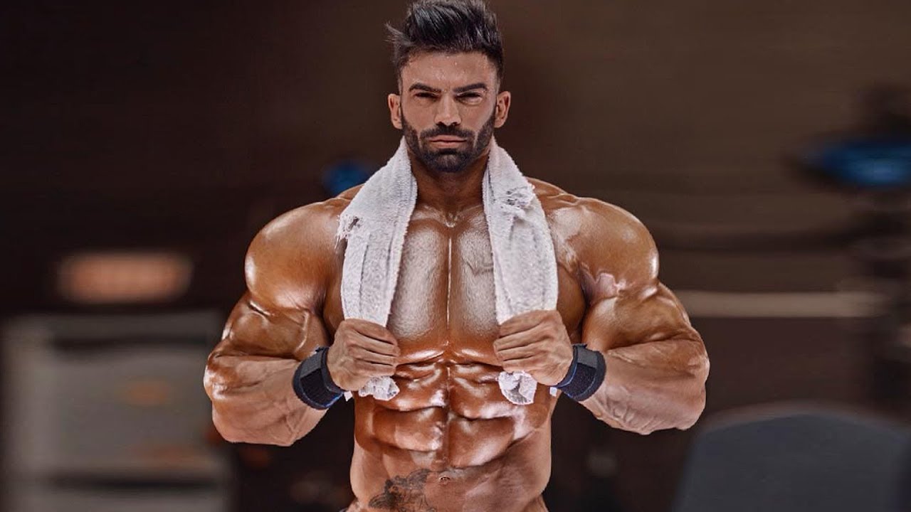 You are currently viewing Bodybuilding Video – 6