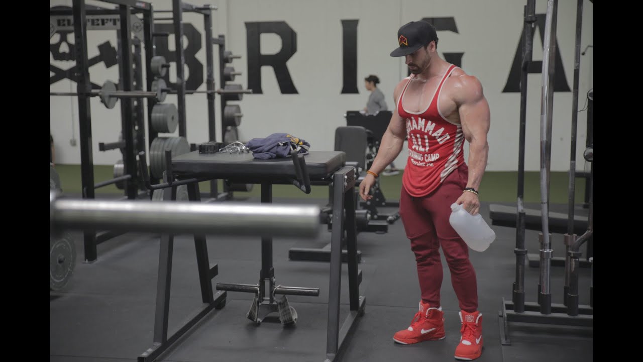 You are currently viewing Bradley Martyn | Rear Delt work | Shoulder WORK!