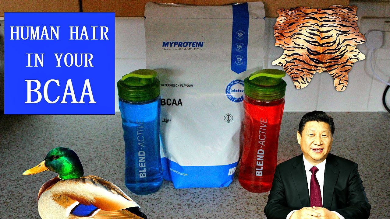 You are currently viewing Branch Chain Amino Acids (BCAA’s) are made from HUMAN HAIR!!