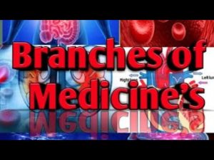 Branches Of Medicine Video – 3