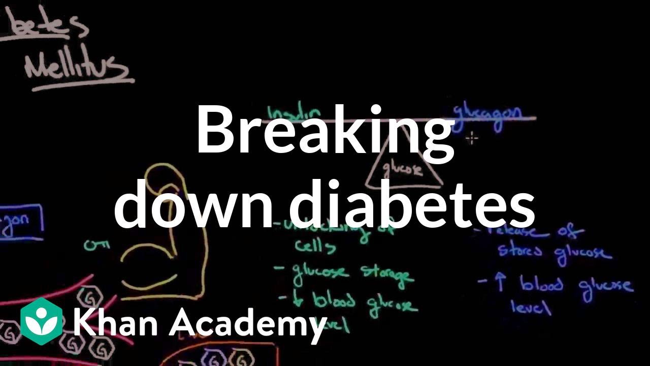 You are currently viewing Endocrine System Diabetes And Asanas Video – 1