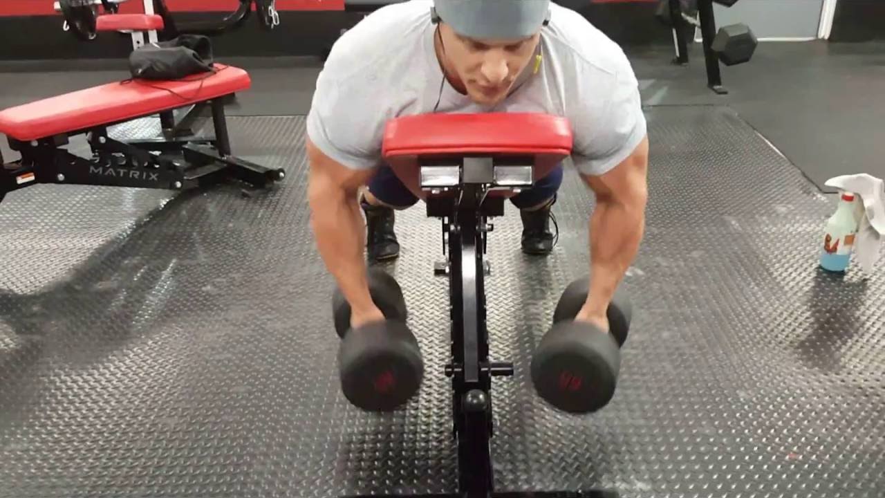 You are currently viewing Building back muscle – Incline Dumbbell Rows