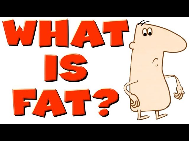 You are currently viewing CALORIES Part1: FAT BURN & WEIGHT GAIN  Explained Easy Simple & Fast