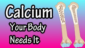 Read more about the article Calcium – How Much Calcium Does The Body Need – Why Does The Body Need Calcium