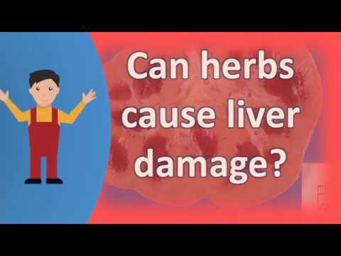 You are currently viewing Can herbs cause liver damage ?