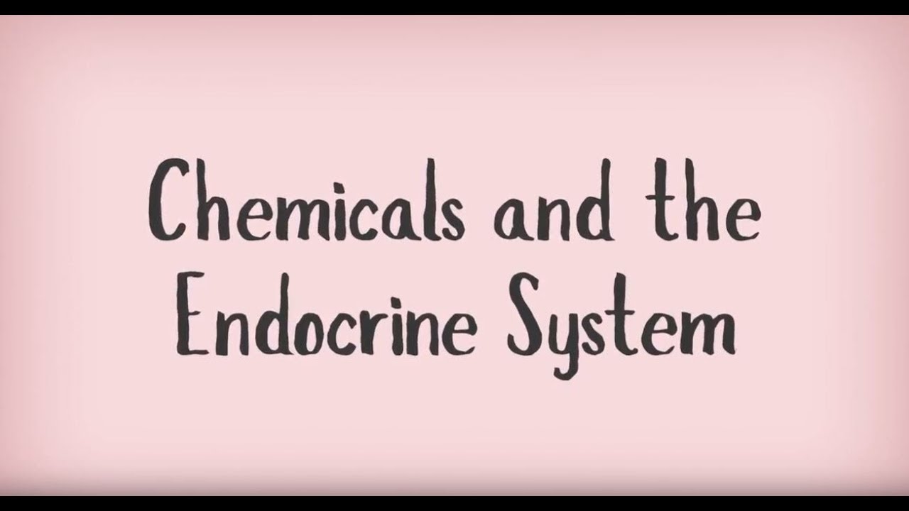 You are currently viewing Chemicals and your Endocrine System
