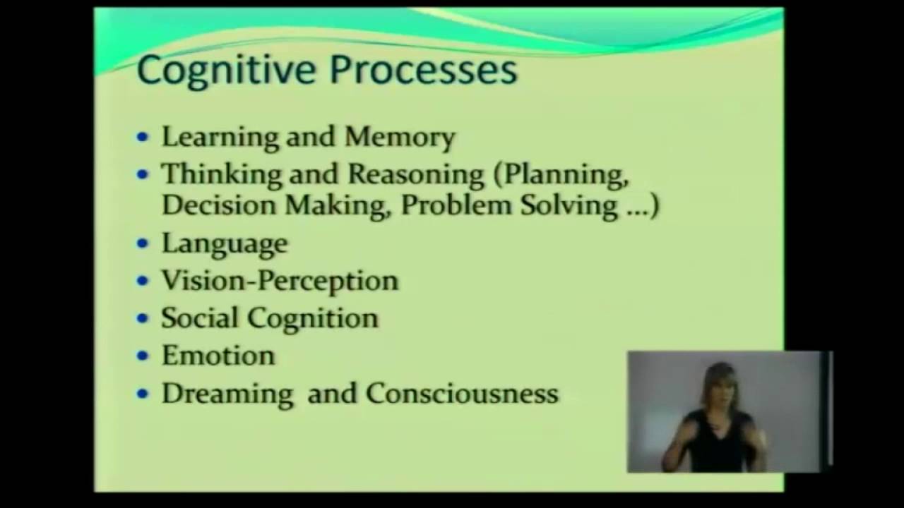 You are currently viewing Cognitive Psychology Video – 3