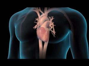 Common Causes of Heart Failure | Nucleus Health