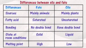 Comparison between oils and fats