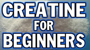 Read more about the article Creatine for Beginners – Things You Need to Know