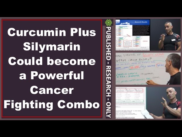 You are currently viewing Curcumin Plus Silymarin Could become a Powerful Cancer Fighting Combo