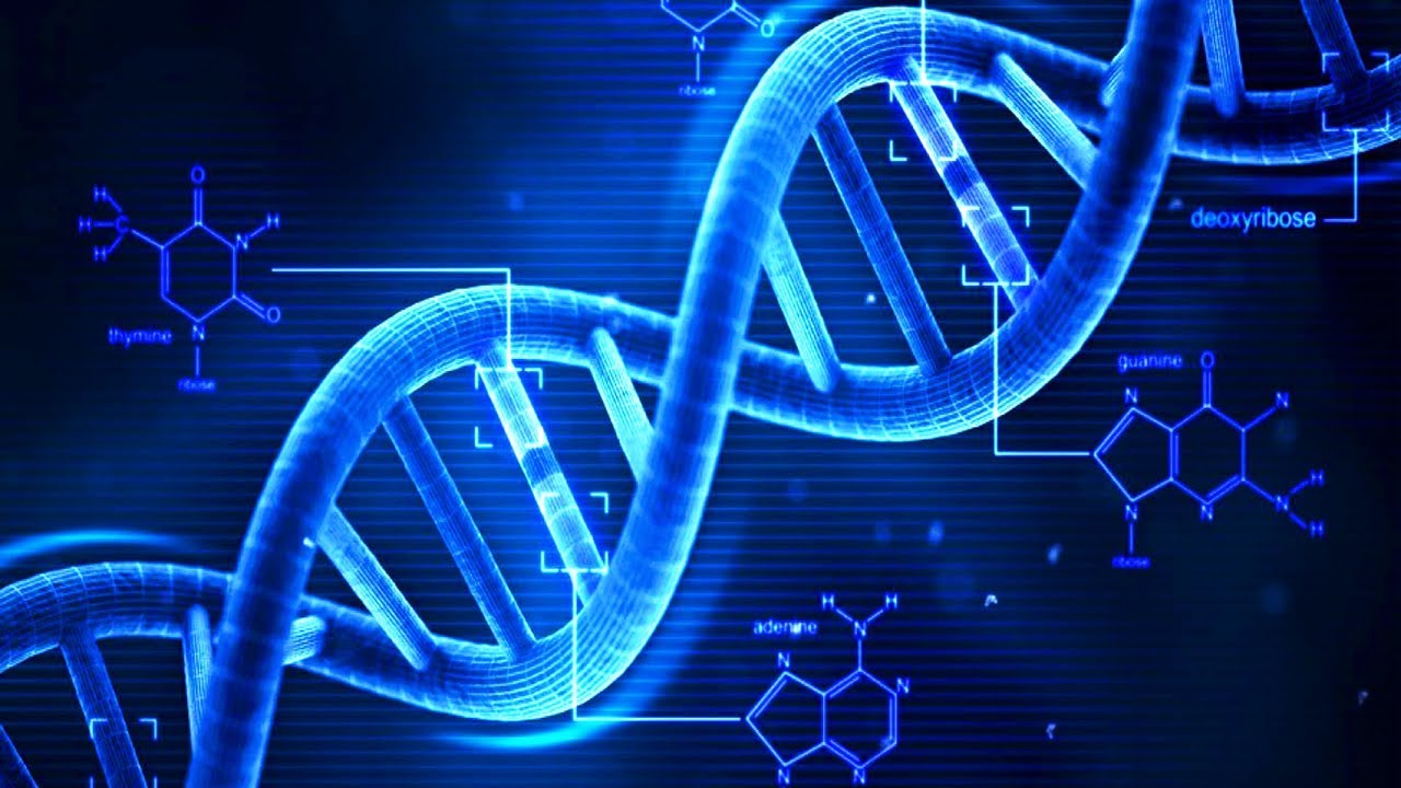 You are currently viewing DNA – What is DNA? – Basics of DNA