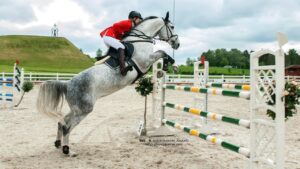 Read more about the article Equestrian Video – 4