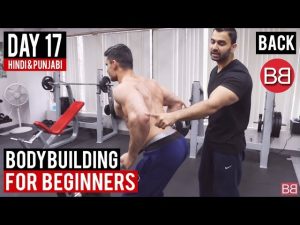 Read more about the article | Day 17 | Complete BACK Workout for Beginners! (Hindi / Punjabi)