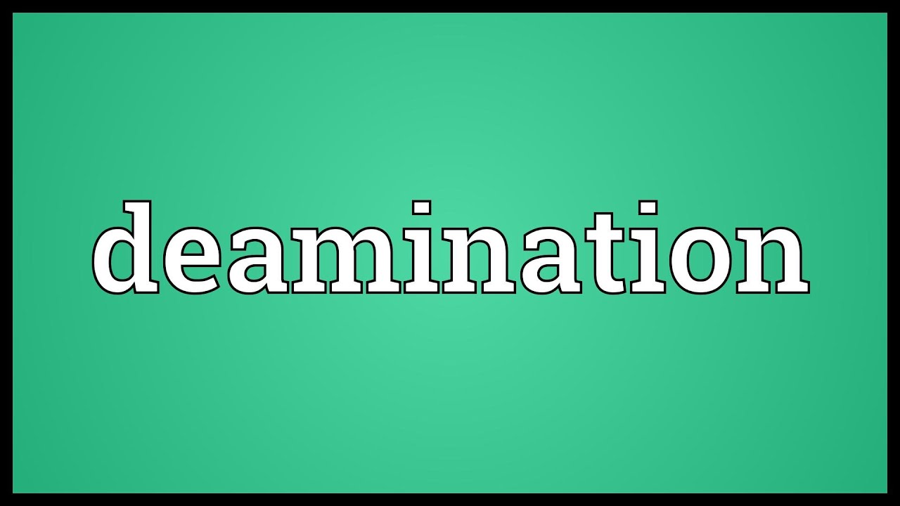 You are currently viewing Deamination Meaning