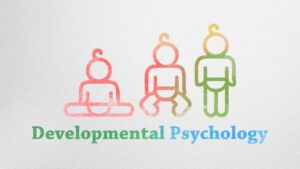Developmental Psychology Video – 3