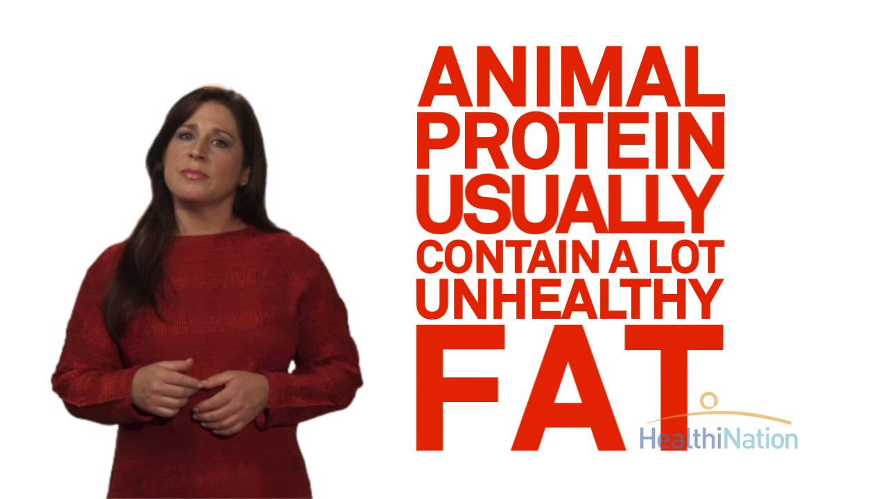 You are currently viewing Different Types of Protein | HealthiNation