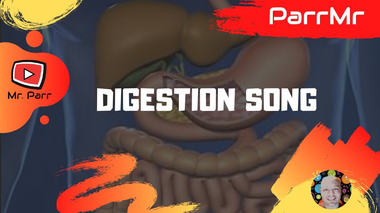 You are currently viewing Digestion Song