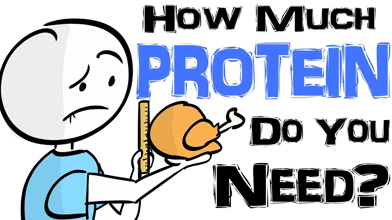 You are currently viewing Do You Need More Protein Than You Think You Do?
