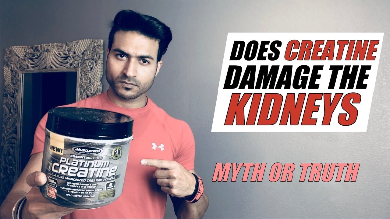 You are currently viewing Does CREATINE Damage the KIDNEY | Myth or Truth? Deep Explanation by Guru Mann