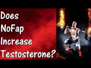Read more about the article Testosterone & Androgenic Effects Video – 32