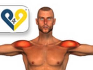 Read more about the article Dumbbell Lateral Raise exercise