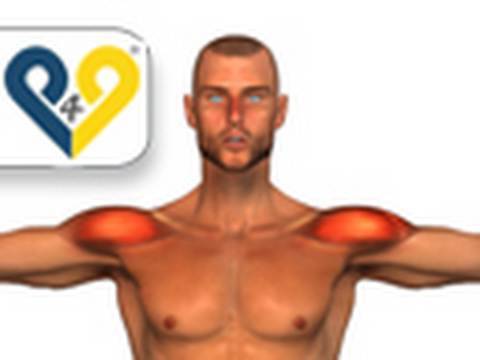 You are currently viewing Dumbbell Lateral Raise exercise
