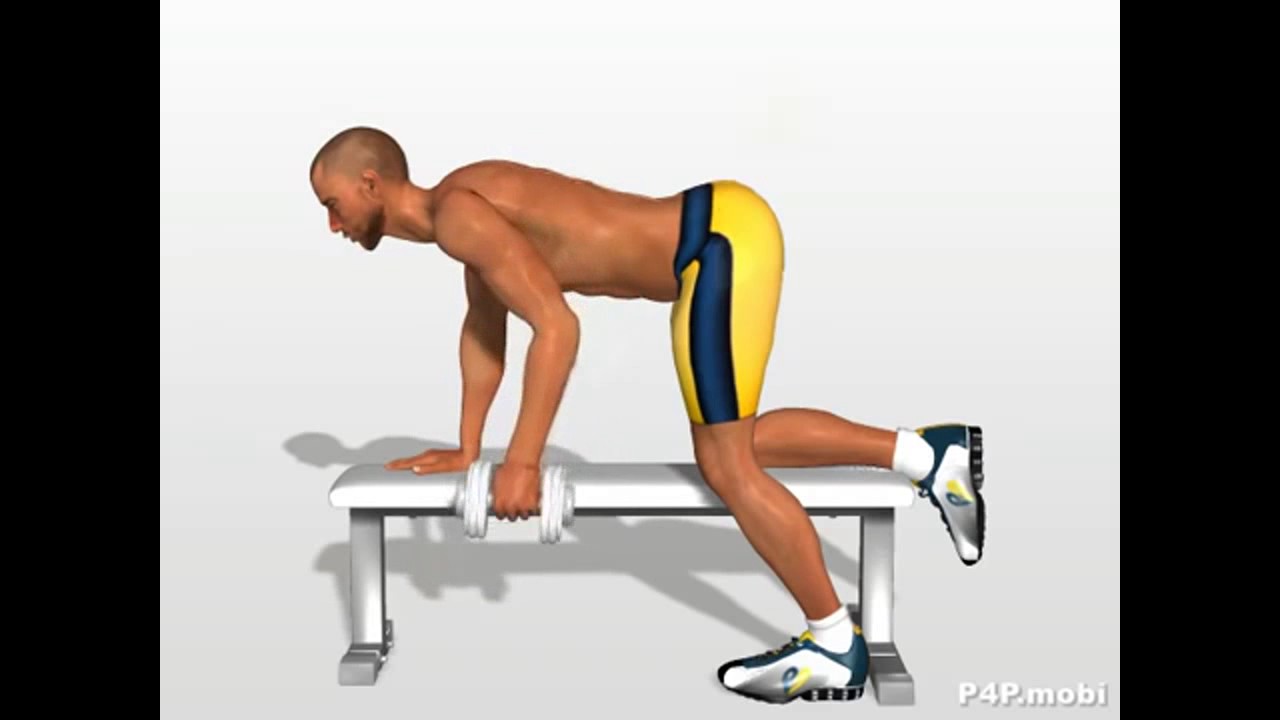 You are currently viewing Dumbbell Row” Exercise for Back Muscles