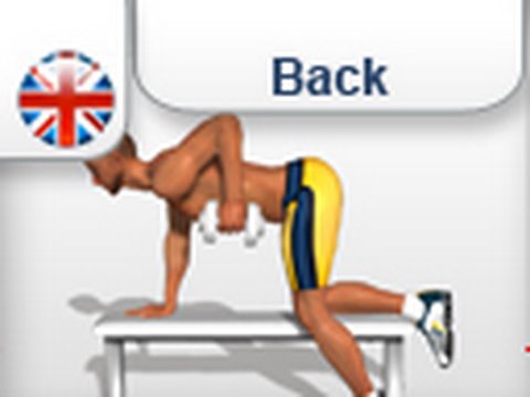 You are currently viewing “Dumbbell Row” Exercise for Back Muscles