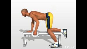 Dumbbell Row” Exercise for Back Muscles