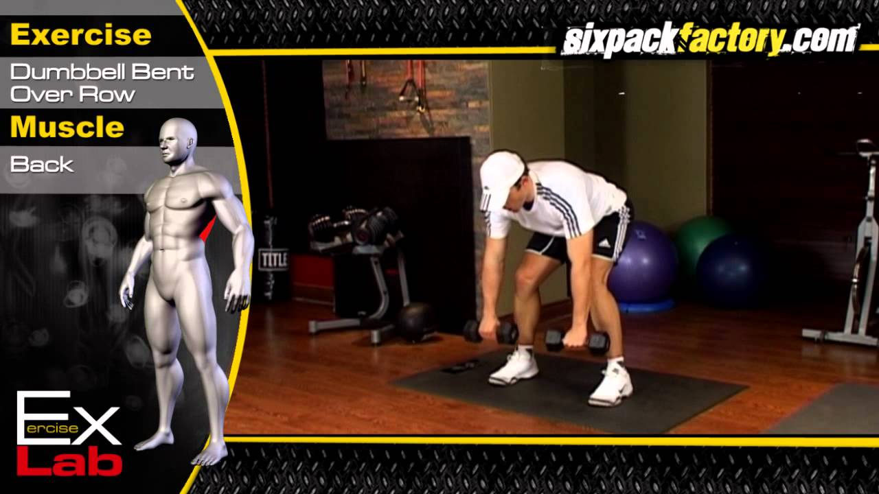 You are currently viewing Dumbell Bent Over Row : Best Back Exercises ( Lat exercises )