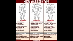 Read more about the article Ectomorph Body Type Fitness Program How To Get Big When You Are Skinny Ectomorph Fitness