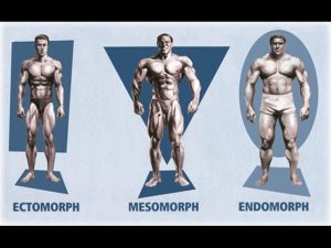 Ectomorph? Endomorph? Mesomorph? How To Train & Eat For YOUR Body Type
