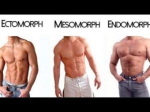 Ectomorph , Endomorph , Mesomorph (  The 3 Different Body Types )
