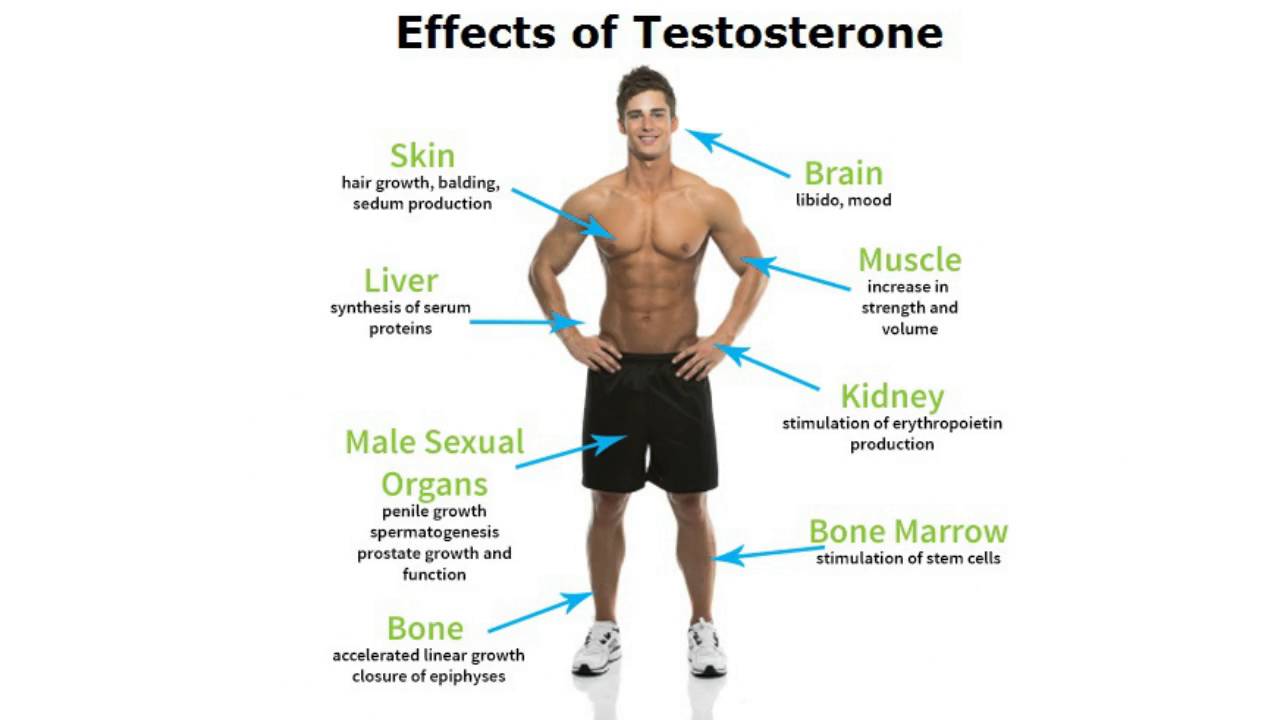 You are currently viewing Effects of Testosterone on Men