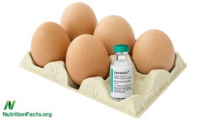 Read more about the article Eggs and Diabetes