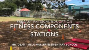 Read more about the article Elementary Physical Education – Fitness Components Stations