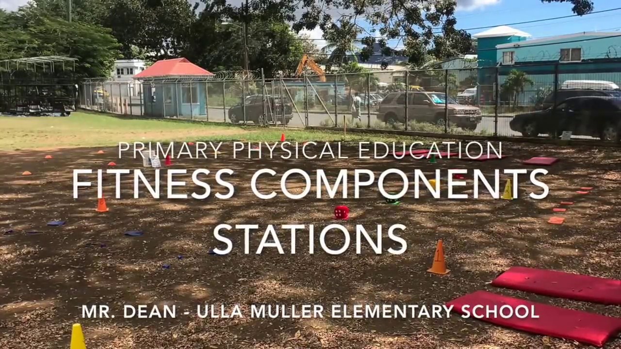 You are currently viewing Elementary Physical Education – Fitness Components Stations