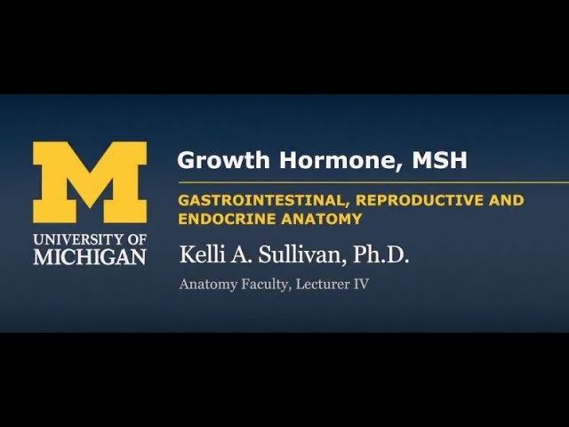 You are currently viewing HGH, Growth Hormones & Plant Hormones Video – 4