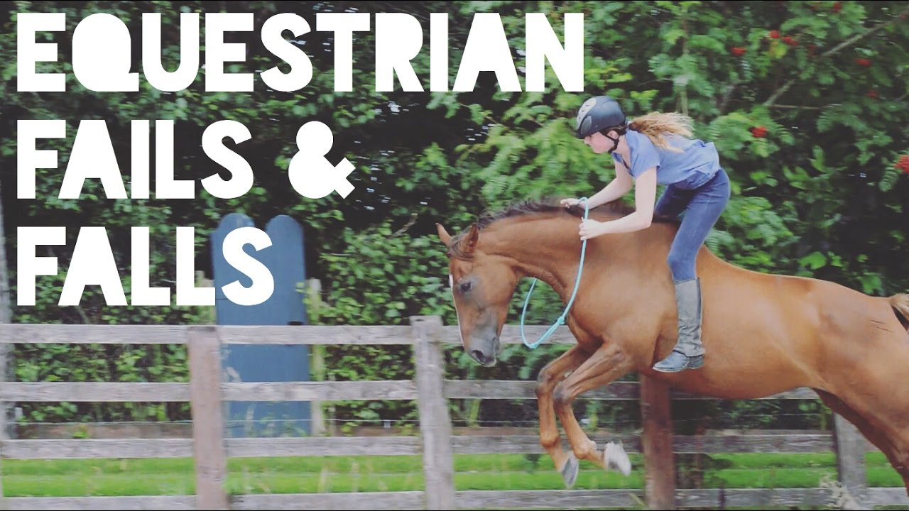 You are currently viewing Equestrian Video – 3
