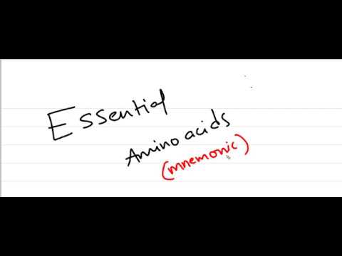 You are currently viewing Essential Amino Acids (best mnemonic)