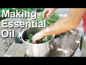 Essential Oils Video – 3