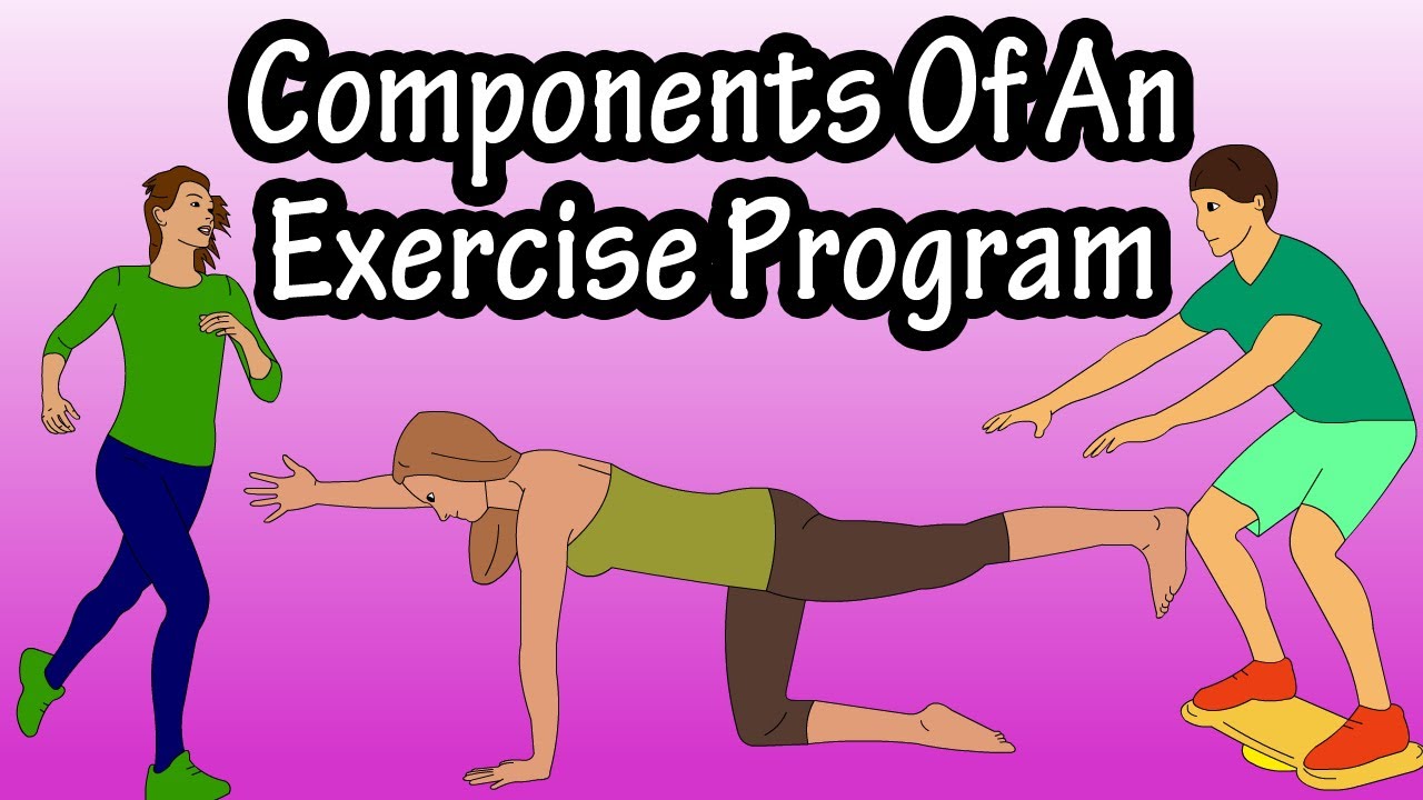 You are currently viewing Exercise Programming – Components Of An Exercise Workout Program Routine- Fitness Programming Design