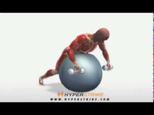 Exercise Videos- Dumbbell Row on Ball